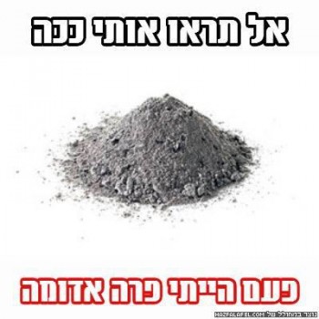 מצעד דוסים מצייצים 26: הממים האהובים ביותר השבוע