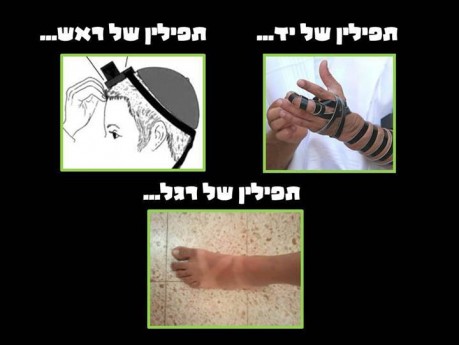 מצעד דוסים מצייצים 27: הממים האהובים ביותר השבוע