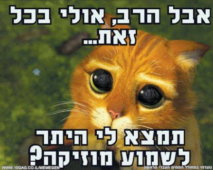 מצעד דוסים מצייצים 28: הממים האהובים ביותר השבוע