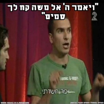 מצעד דוסים מצייצים 28: הממים האהובים ביותר השבוע