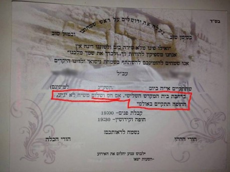 מצעד דוסים מצייצים 28: הממים האהובים ביותר השבוע