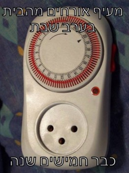 מצעד דוסים מצייצים 29: הממים האהובים ביותר השבוע