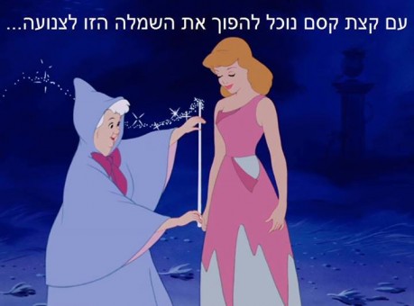 מצעד דוסים מצייצים 30: הממים האהובים ביותר השבוע