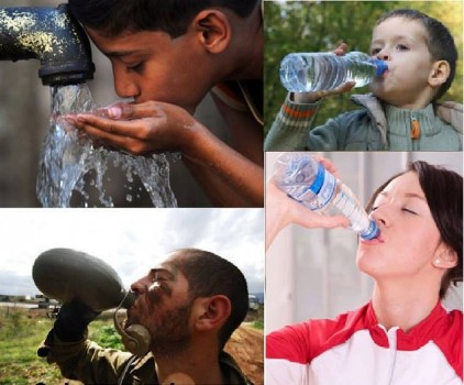 מצעד דוסים מצייצים 30: הממים האהובים ביותר השבוע
