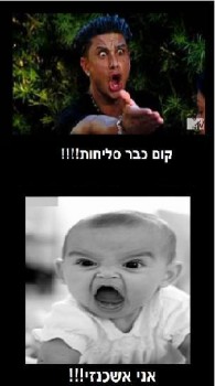 מצעד דוסים מצייצים 33: הממים האהובים ביותר השבוע