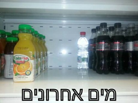מצעד דוסים מצייצים 33: הממים האהובים ביותר השבוע