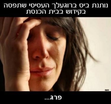 מצעד דוסים מצייצים 34: הממים האהובים ביותר השבוע
