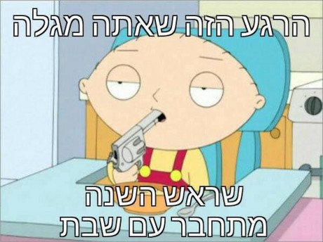 מצעד דוסים מצייצים 34: הממים האהובים ביותר השבוע