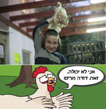 מצעד דוסים מצייצים 35: הממים האהובים ביותר השבוע