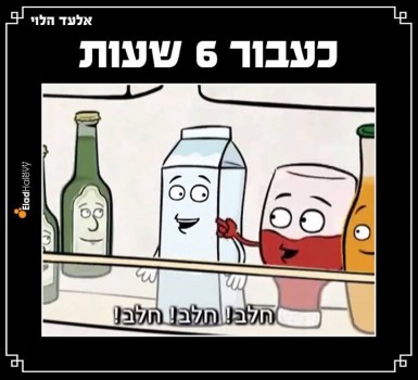מצעד דוסים מצייצים 35: הממים האהובים ביותר השבוע