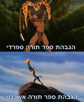 מצעד דוסים מצייצים 35: הממים האהובים ביותר השבוע