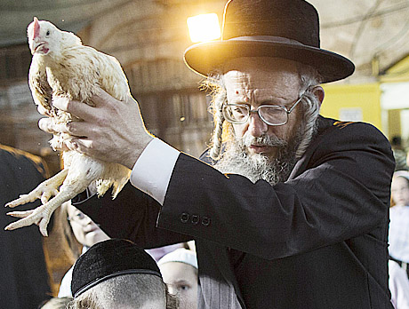 זה התרנגול ילך למיתה: צפו בכפרות בירושלים