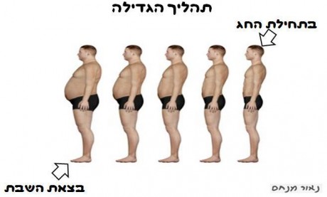 מצעד דוסים מצייצים 37: הממים האהובים ביותר השבוע