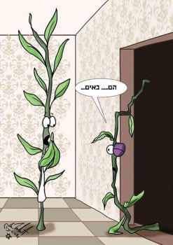 מצעד דוסים מצייצים 38: הממים האהובים ביותר בחגים