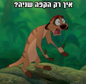 מצעד דוסים מצייצים 38: הממים האהובים ביותר בחגים