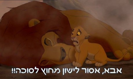 מצעד דוסים מצייצים 38: הממים האהובים ביותר בחגים