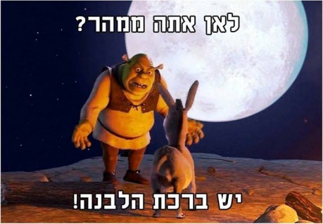 מצעד דוסים מצייצים 38: הממים האהובים ביותר בחגים