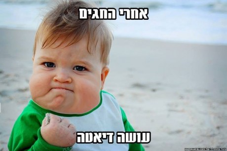 מצעד דוסים מצייצים 39: הממים האהובים ביותר השבוע
