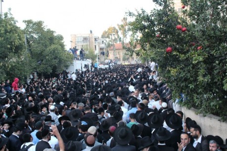גלריית תמונות: מאות אלפים גודשים את הרחובות