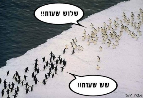 מצעד דוסים מצייצים 40: הממים האהובים ביותר השבוע