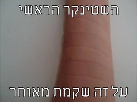 מצעד דוסים מצייצים 40: הממים האהובים ביותר השבוע