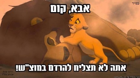 מצעד דוסים מצייצים 40: הממים האהובים ביותר השבוע