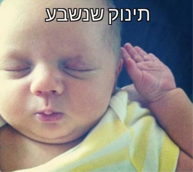 מצעד דוסים מצייצים 41: הממים האהובים ביותר השבוע