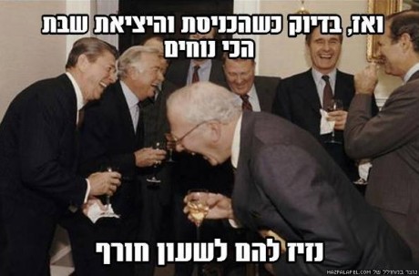מצעד דוסים מצייצים 41: הממים האהובים ביותר השבוע