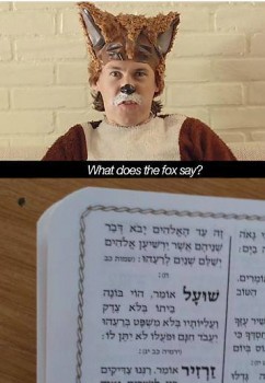 מצעד דוסים מצייצים 41: הממים האהובים ביותר השבוע