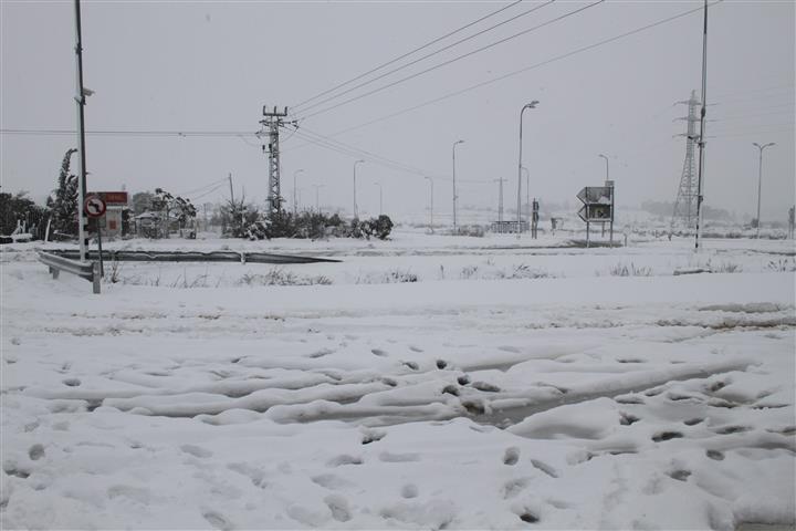 IMG_8787 (Small)