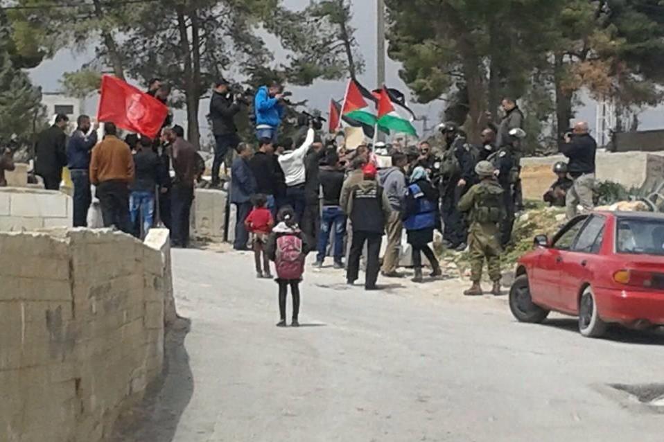 פלסטינים סילקו פעילי שמאל שהפגינו בחברון: "מחבלים בדו קיום"