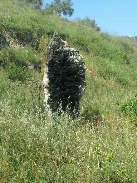 unnamed (1)