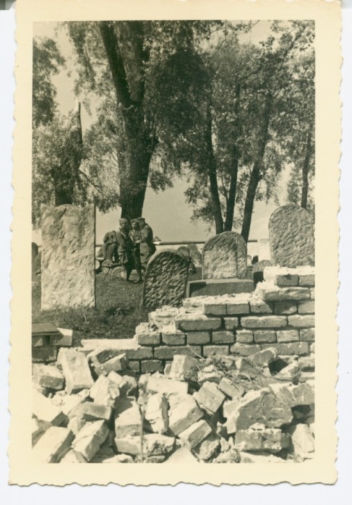 תמונה 15