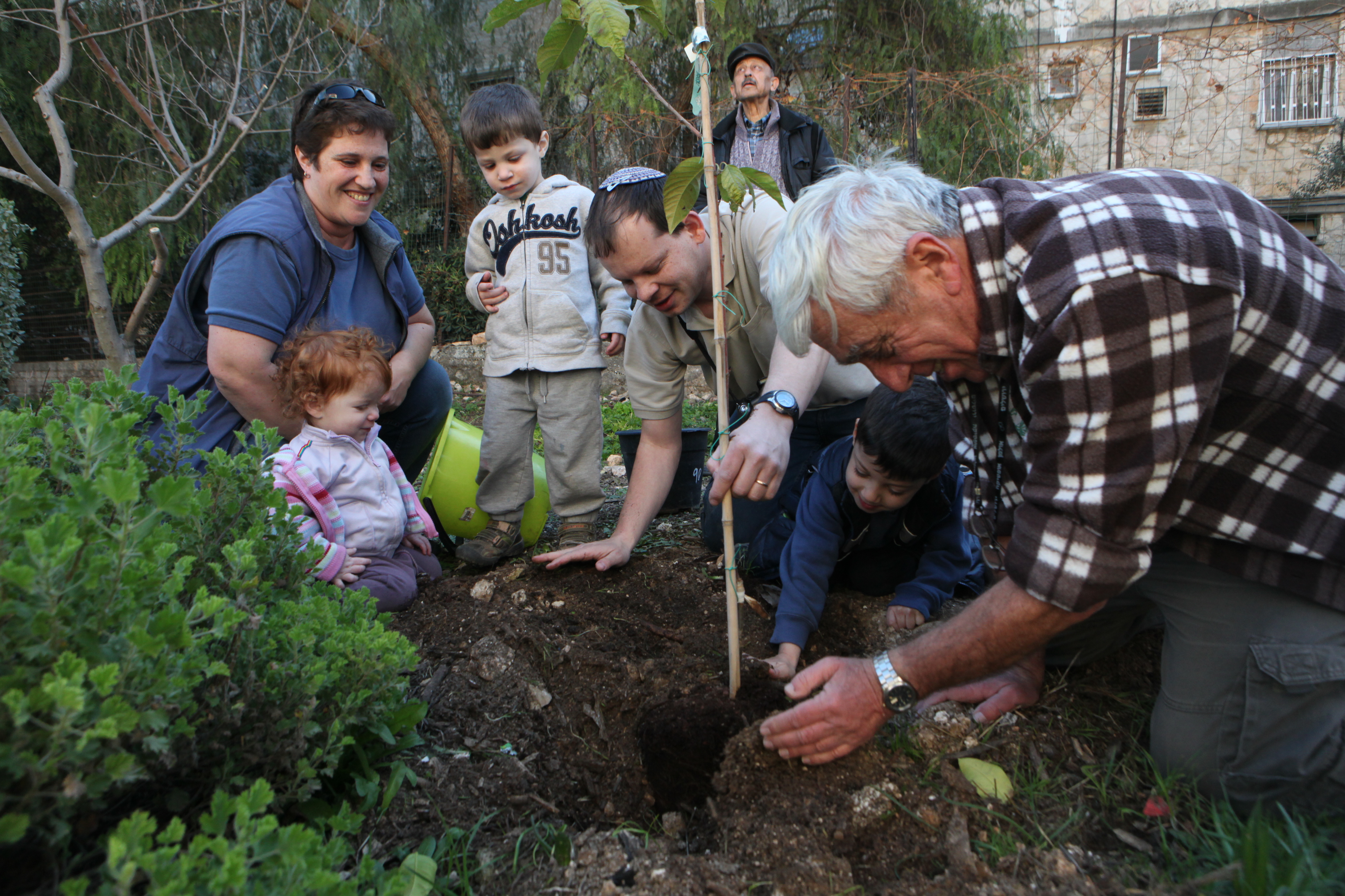 שימו לב: איסורי השמיטה מתחילים מחר בערב
