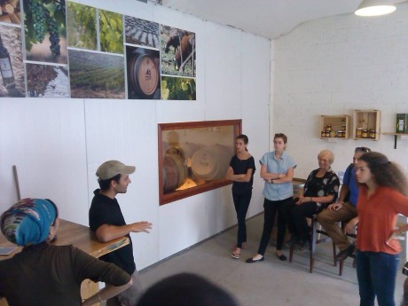 'ארץ יהודה'- היסטוריה, טעמים ויצירה