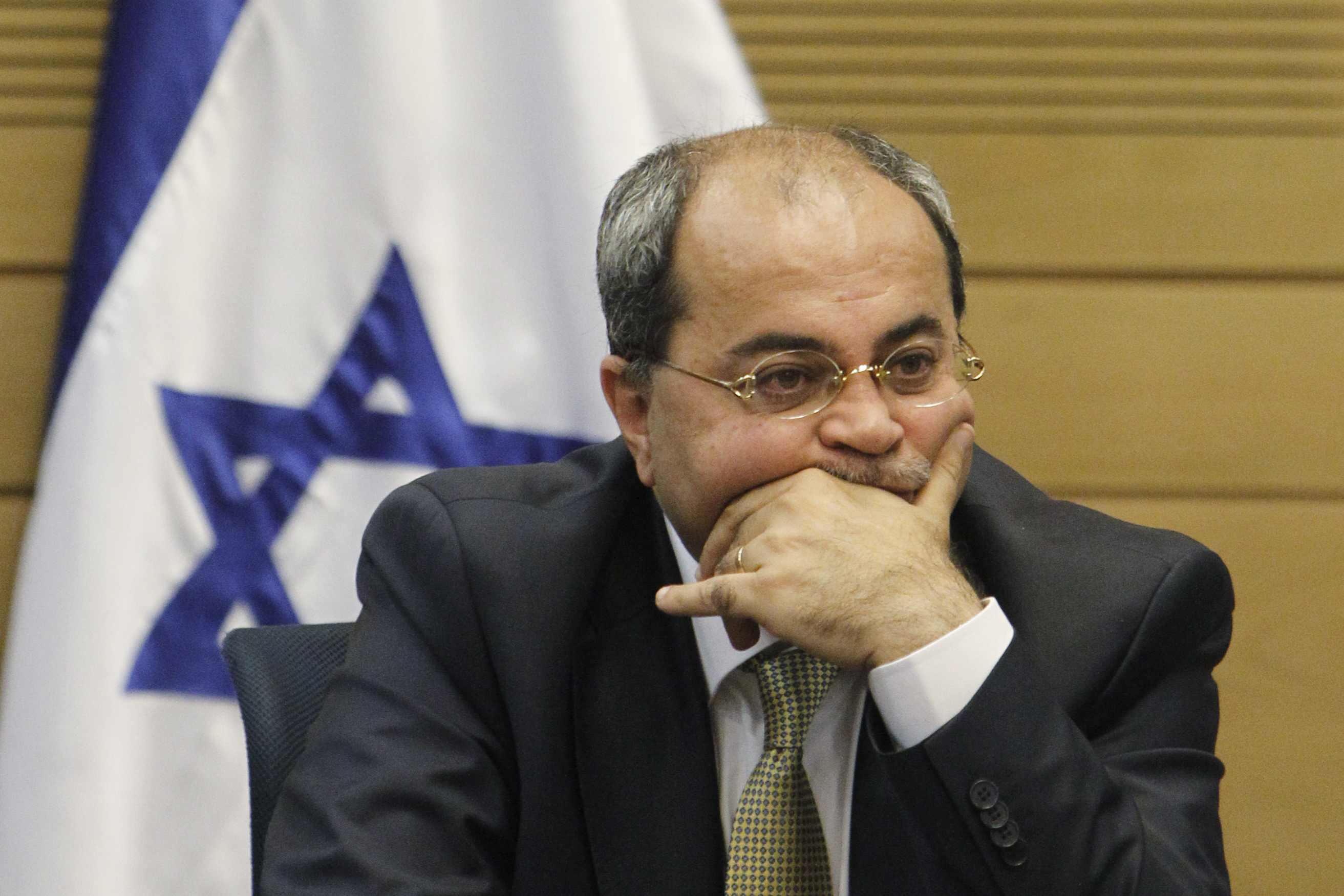 טיבי: הסיכויים לאחדות ערבית "פיפטי פיפטי"