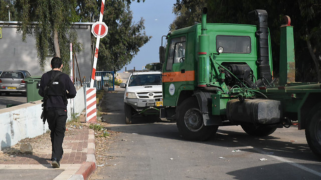 אביהו שפירא ynet
