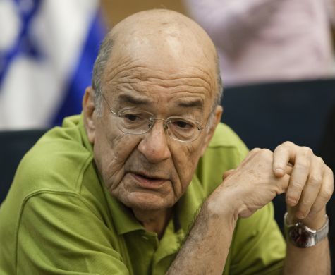"המפגינים הם לא עשב שוטה אלא הערוגה כולה"