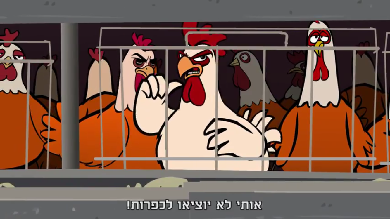 המרד בלול: התרנגולים נגד מנהג הכפרות. צפו