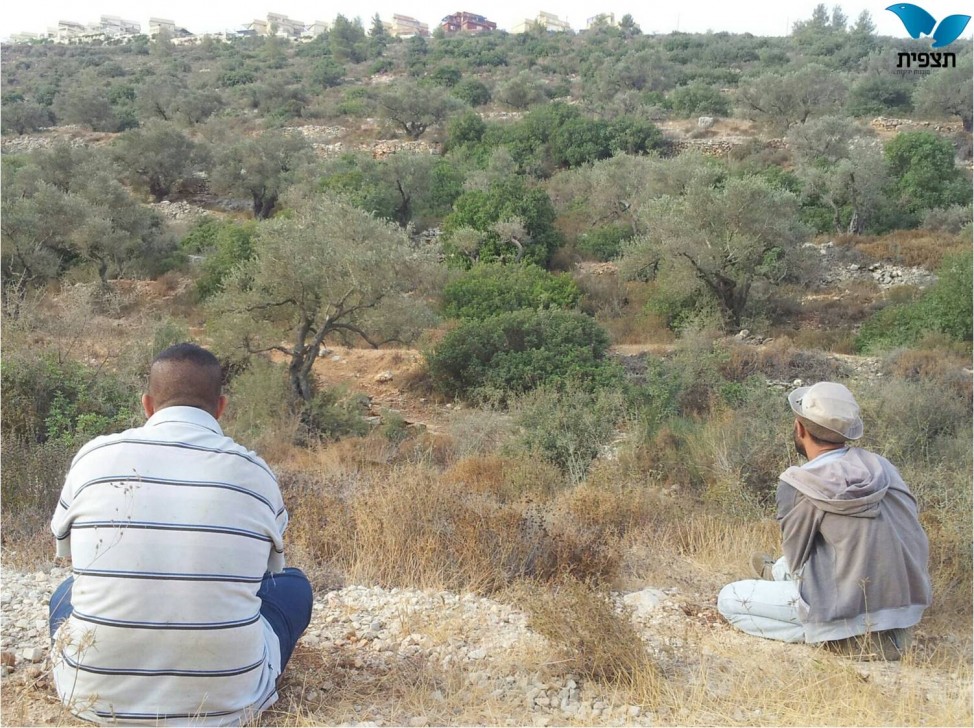 תמונה1