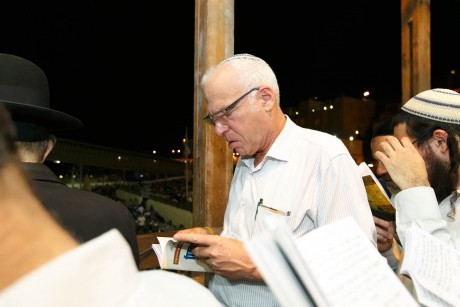 שיא של מתפללים בכותל המערבי; גלריה