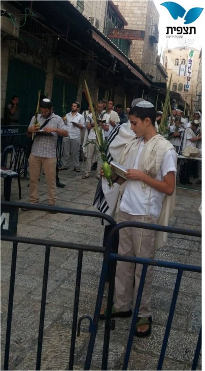 תמונה2