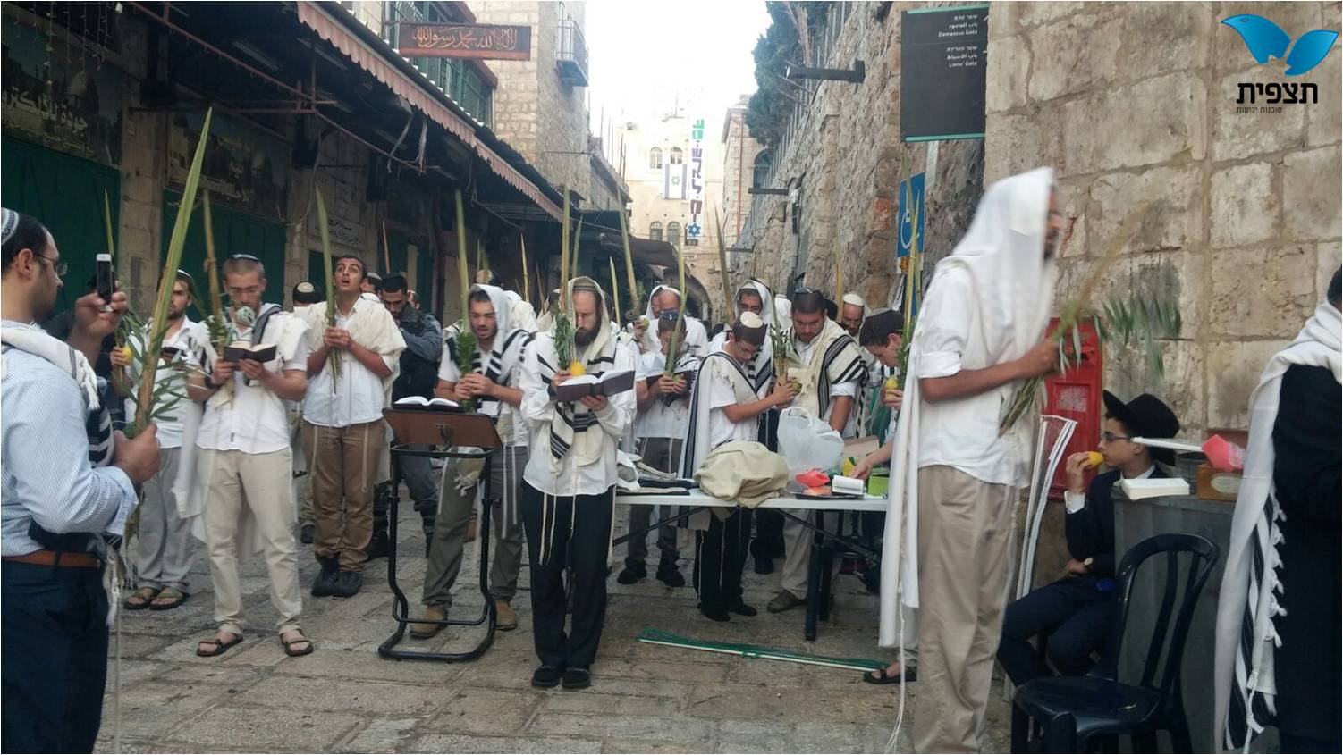 תמונה3