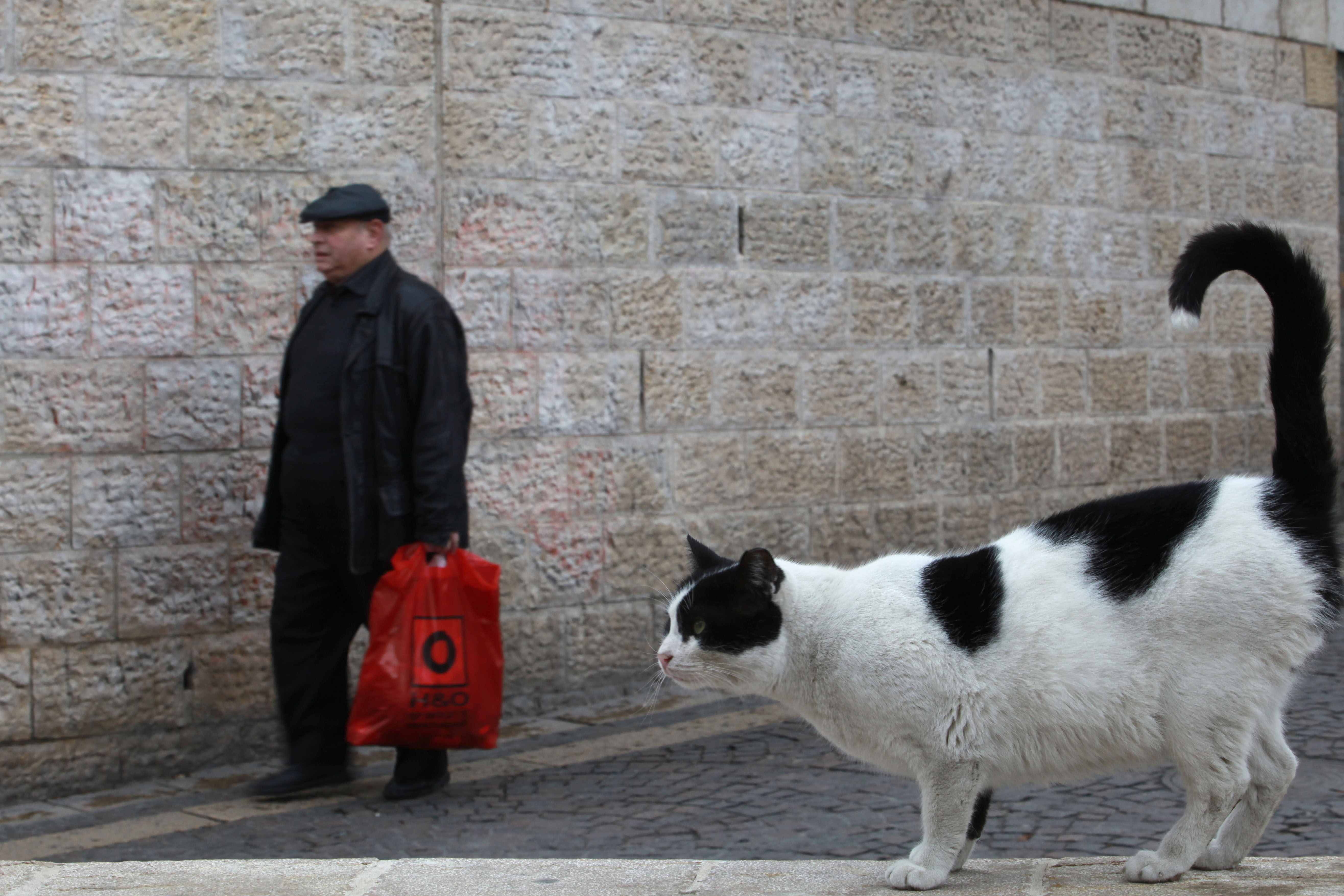 דעה: אורי אריאל צריך ללמוד מהשמאלנים