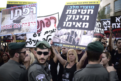 שו"ת: צער בעלי חיים מונע מתן תעודת כשרות?