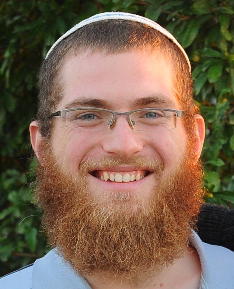 שיעור בדמוקרטיה / תגובה לרב אלי סדן