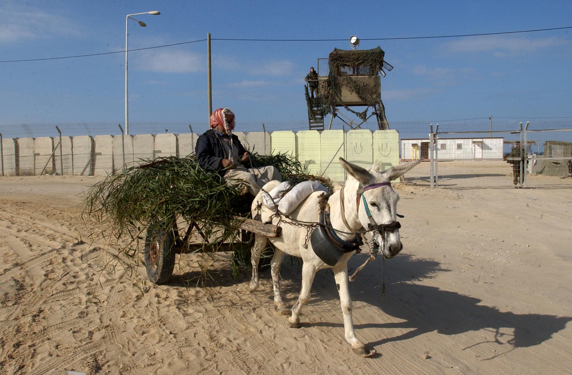 התקשורת מניחה מראש שהערבים הם נחותים