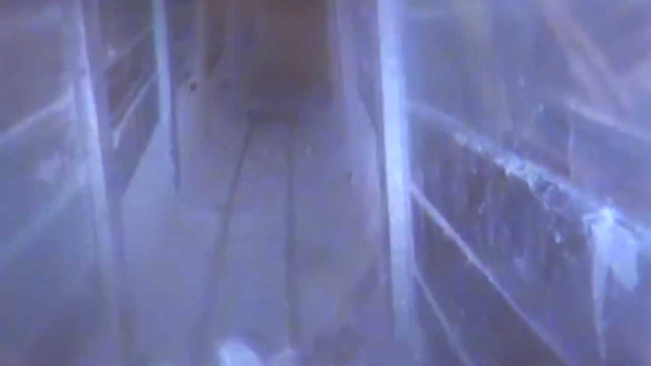 דרך מנהרת טרור: פעיל חמאס חצה את הגבול מעזה לישראל