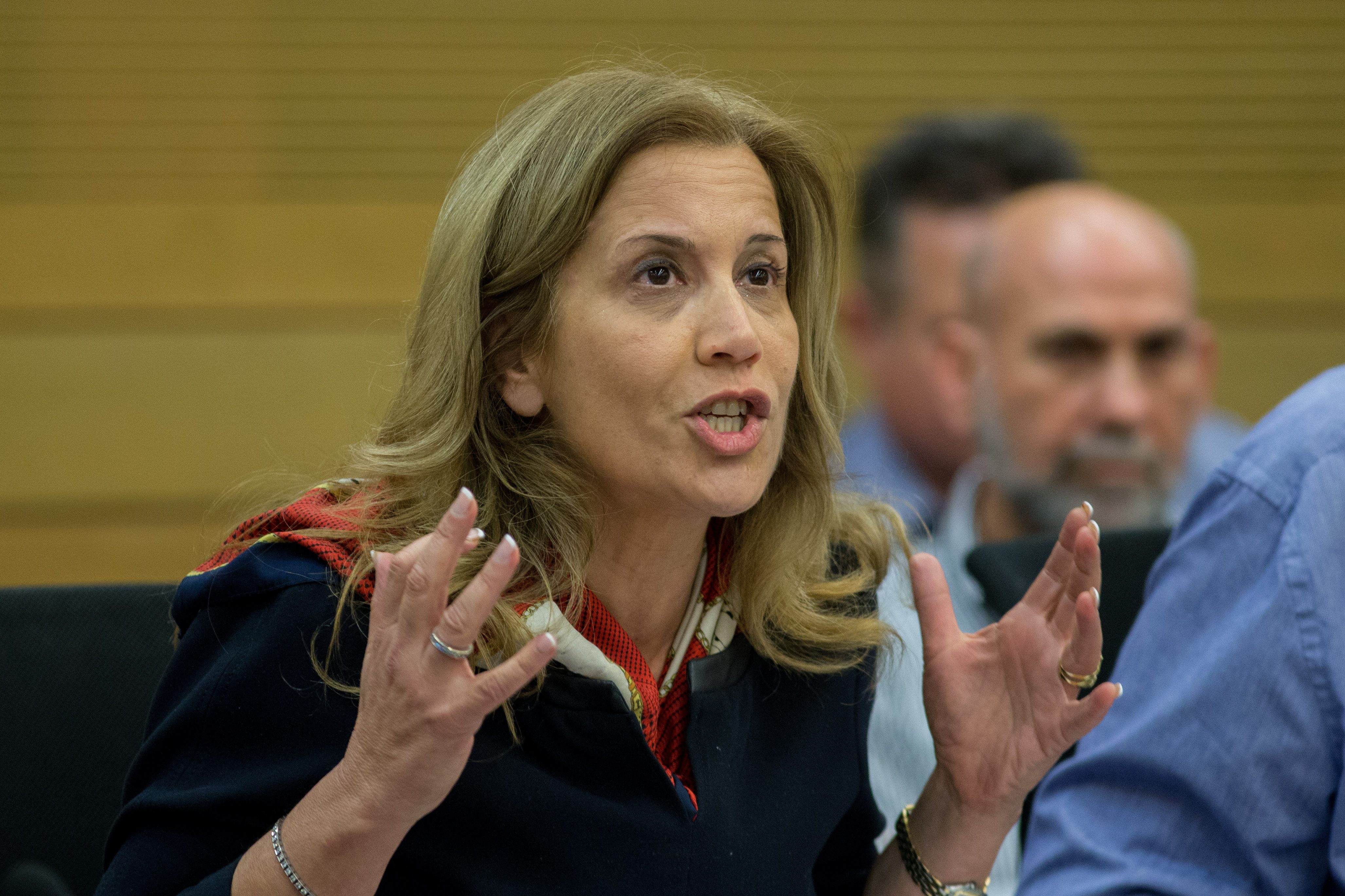 עליזה לביא: "מדובר בשפל מוסרי שחייב לחלוף מן העולם"