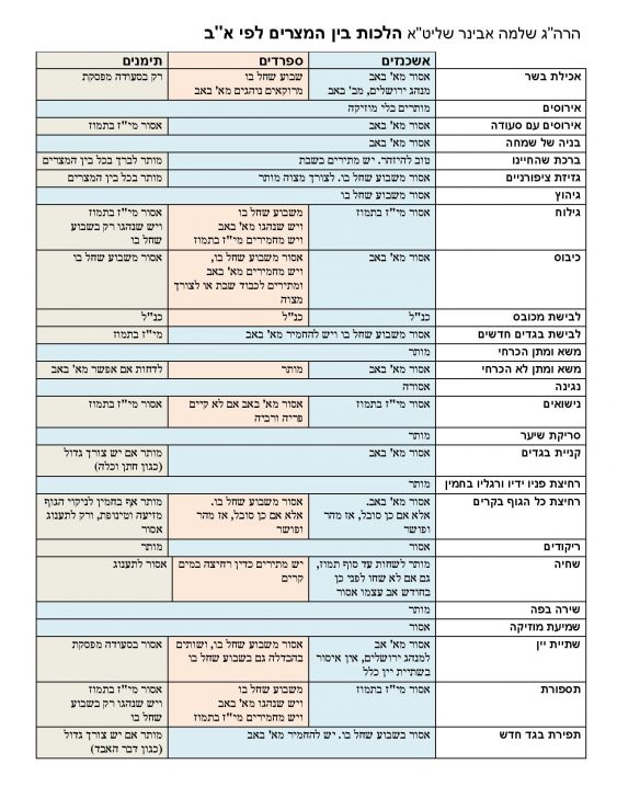 בין המצרים